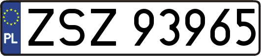 ZSZ93965