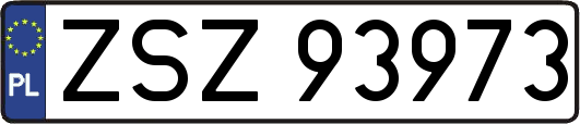ZSZ93973