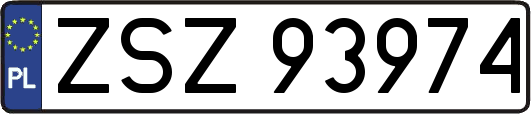 ZSZ93974