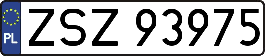 ZSZ93975