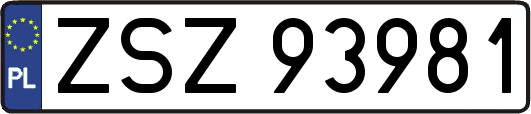 ZSZ93981