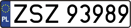 ZSZ93989