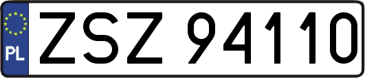 ZSZ94110