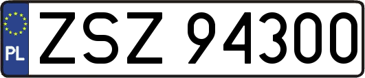 ZSZ94300