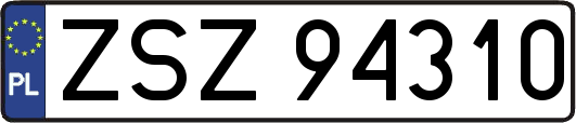ZSZ94310