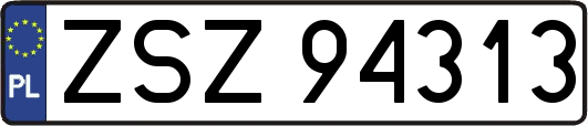 ZSZ94313