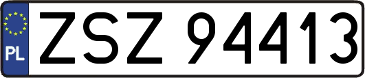 ZSZ94413