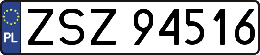 ZSZ94516
