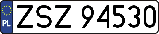 ZSZ94530