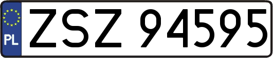 ZSZ94595