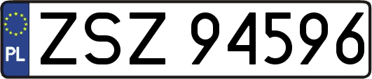ZSZ94596