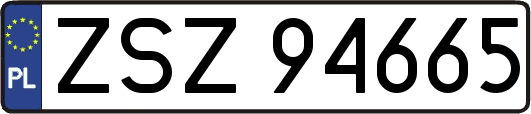 ZSZ94665