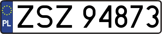ZSZ94873