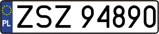 ZSZ94890