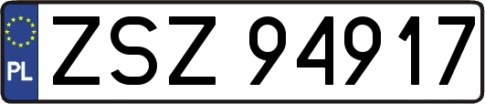 ZSZ94917