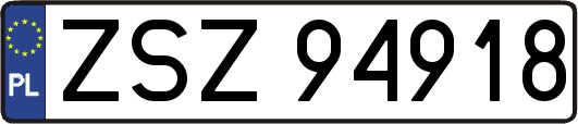 ZSZ94918