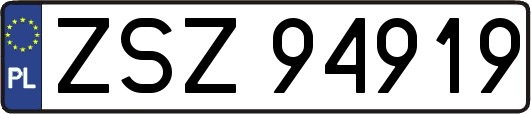 ZSZ94919