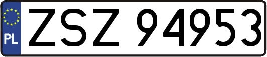 ZSZ94953