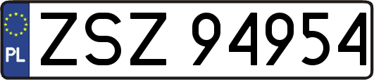ZSZ94954