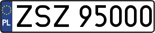 ZSZ95000