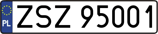 ZSZ95001
