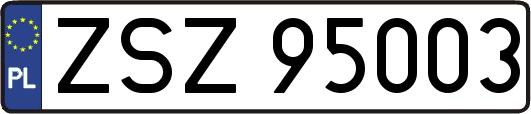 ZSZ95003