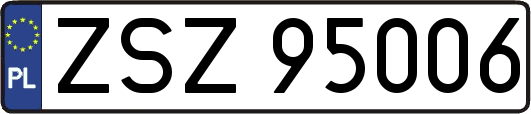ZSZ95006