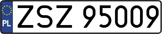 ZSZ95009