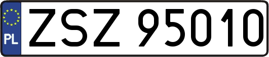 ZSZ95010