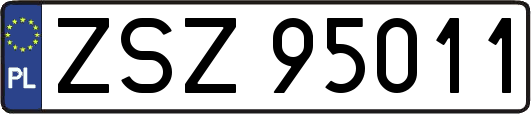 ZSZ95011