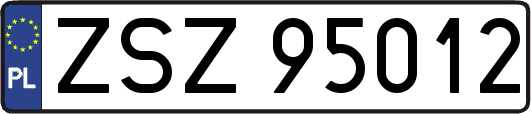 ZSZ95012
