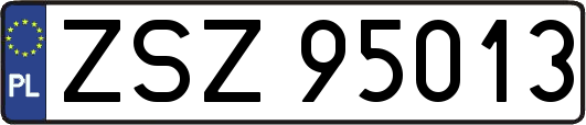 ZSZ95013