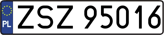 ZSZ95016