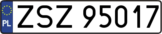 ZSZ95017