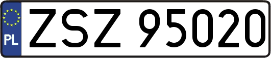 ZSZ95020