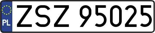 ZSZ95025