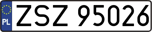 ZSZ95026