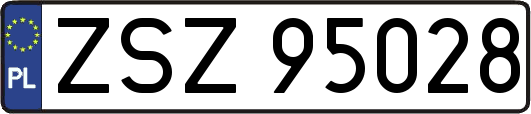 ZSZ95028