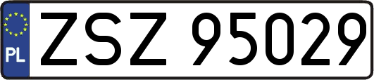 ZSZ95029