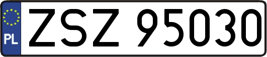 ZSZ95030