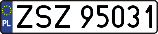 ZSZ95031