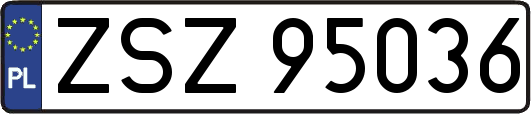 ZSZ95036