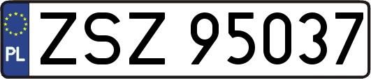 ZSZ95037