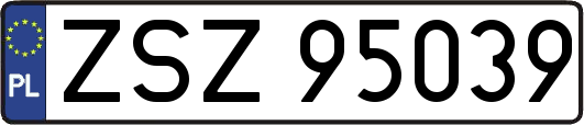 ZSZ95039