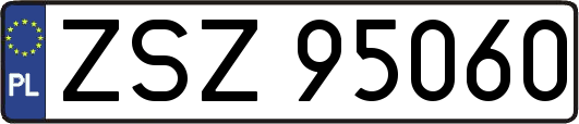 ZSZ95060