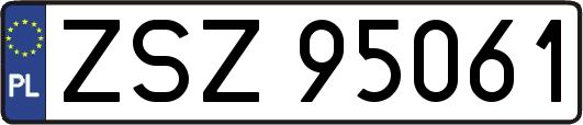 ZSZ95061