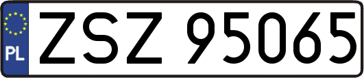 ZSZ95065
