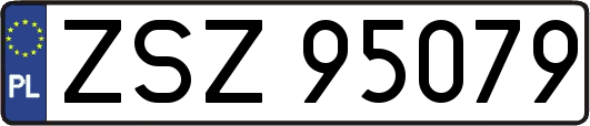 ZSZ95079