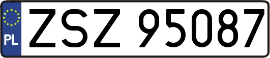 ZSZ95087
