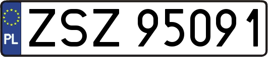 ZSZ95091